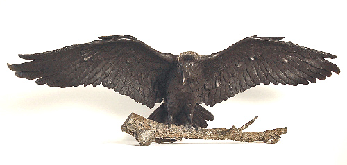 Flying Raven (Front)
