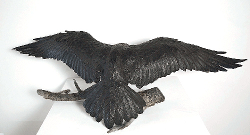Flying Raven (Back)